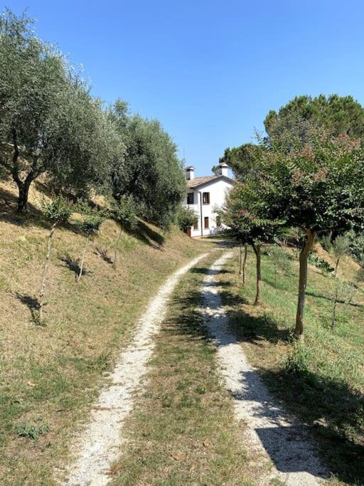 Tenuta Da Mose Con Vista Sui Colli Asolani Monfumo Exteriér fotografie